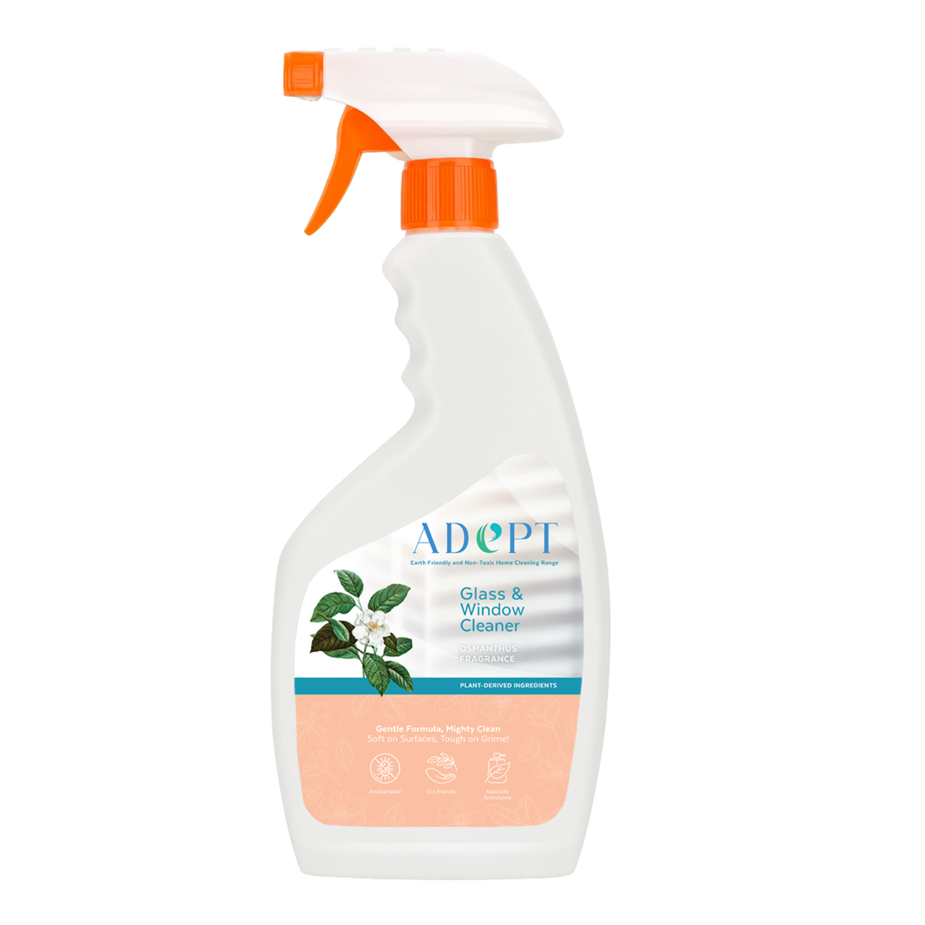 Window & Glass Cleaner