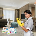 Apartment or Small Home Clean - Eco-Friendly